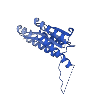 11631_7a4f_FB_v1-2
Aquifex aeolicus lumazine synthase-derived nucleocapsid variant NC-1 (120-mer)