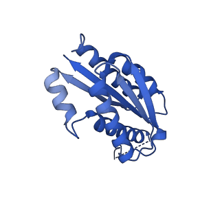 11631_7a4f_FC_v1-2
Aquifex aeolicus lumazine synthase-derived nucleocapsid variant NC-1 (120-mer)