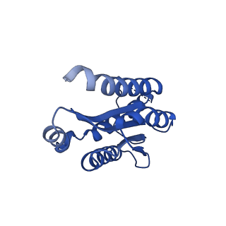 11631_7a4f_FD_v1-2
Aquifex aeolicus lumazine synthase-derived nucleocapsid variant NC-1 (120-mer)