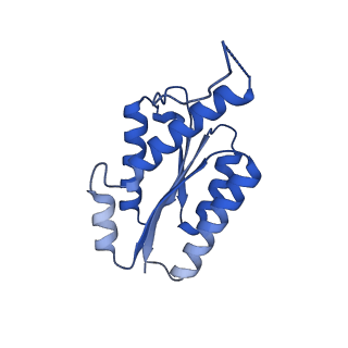 11631_7a4f_FF_v1-2
Aquifex aeolicus lumazine synthase-derived nucleocapsid variant NC-1 (120-mer)