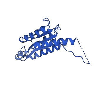 11631_7a4f_FG_v1-2
Aquifex aeolicus lumazine synthase-derived nucleocapsid variant NC-1 (120-mer)