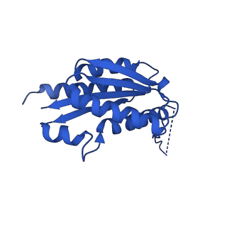 11631_7a4f_FH_v1-2
Aquifex aeolicus lumazine synthase-derived nucleocapsid variant NC-1 (120-mer)