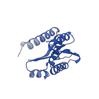 11631_7a4f_FI_v1-2
Aquifex aeolicus lumazine synthase-derived nucleocapsid variant NC-1 (120-mer)