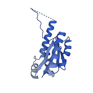 11631_7a4f_FJ_v1-2
Aquifex aeolicus lumazine synthase-derived nucleocapsid variant NC-1 (120-mer)