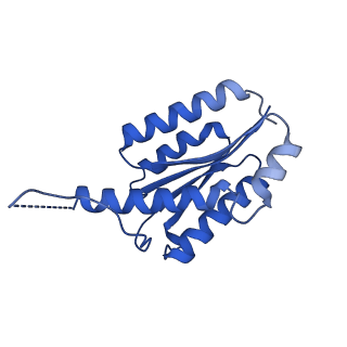 11631_7a4f_GC_v1-2
Aquifex aeolicus lumazine synthase-derived nucleocapsid variant NC-1 (120-mer)