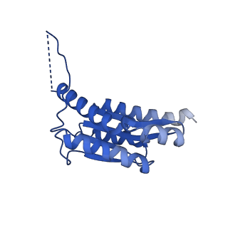 11631_7a4f_GD_v1-2
Aquifex aeolicus lumazine synthase-derived nucleocapsid variant NC-1 (120-mer)