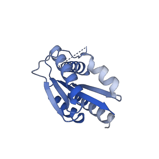 11631_7a4f_GE_v1-2
Aquifex aeolicus lumazine synthase-derived nucleocapsid variant NC-1 (120-mer)