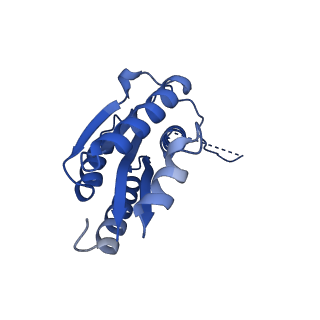 11631_7a4f_GF_v1-2
Aquifex aeolicus lumazine synthase-derived nucleocapsid variant NC-1 (120-mer)