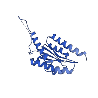 11631_7a4f_GI_v1-2
Aquifex aeolicus lumazine synthase-derived nucleocapsid variant NC-1 (120-mer)