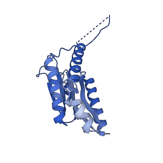 11631_7a4f_GJ_v1-2
Aquifex aeolicus lumazine synthase-derived nucleocapsid variant NC-1 (120-mer)