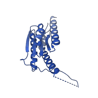 11631_7a4f_HA_v1-2
Aquifex aeolicus lumazine synthase-derived nucleocapsid variant NC-1 (120-mer)