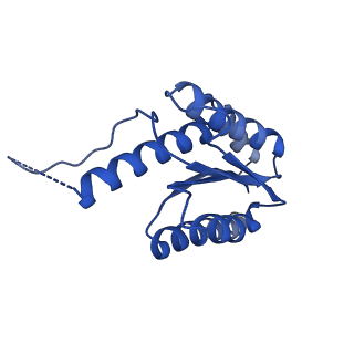 11631_7a4f_HD_v1-2
Aquifex aeolicus lumazine synthase-derived nucleocapsid variant NC-1 (120-mer)