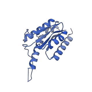 11631_7a4f_HE_v1-2
Aquifex aeolicus lumazine synthase-derived nucleocapsid variant NC-1 (120-mer)