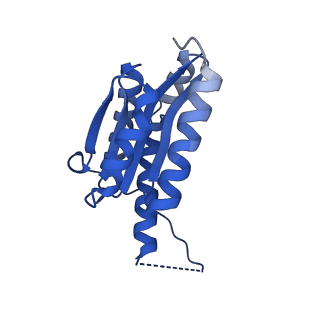 11631_7a4f_HF_v1-2
Aquifex aeolicus lumazine synthase-derived nucleocapsid variant NC-1 (120-mer)