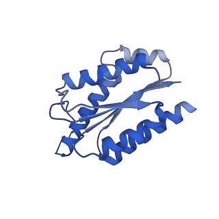 11631_7a4f_HJ_v1-2
Aquifex aeolicus lumazine synthase-derived nucleocapsid variant NC-1 (120-mer)