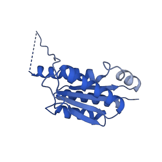 11631_7a4f_IA_v1-2
Aquifex aeolicus lumazine synthase-derived nucleocapsid variant NC-1 (120-mer)