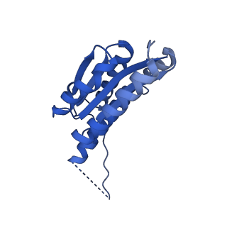 11631_7a4f_IC_v1-2
Aquifex aeolicus lumazine synthase-derived nucleocapsid variant NC-1 (120-mer)