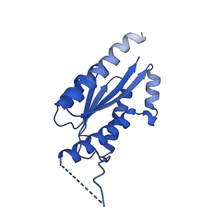 11631_7a4f_ID_v1-2
Aquifex aeolicus lumazine synthase-derived nucleocapsid variant NC-1 (120-mer)