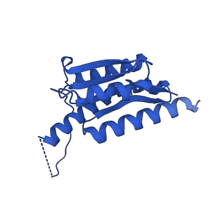 11631_7a4f_IH_v1-2
Aquifex aeolicus lumazine synthase-derived nucleocapsid variant NC-1 (120-mer)
