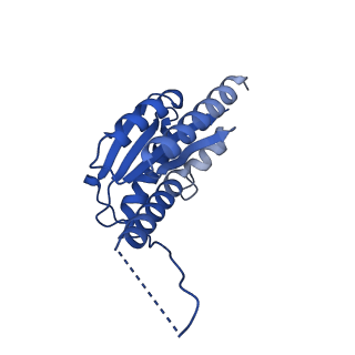 11631_7a4f_II_v1-2
Aquifex aeolicus lumazine synthase-derived nucleocapsid variant NC-1 (120-mer)