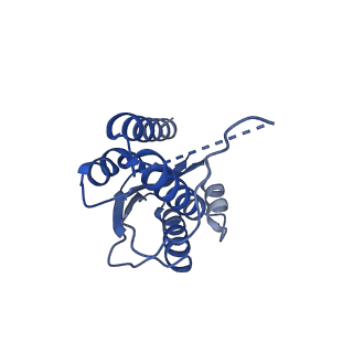 11631_7a4f_IJ_v1-2
Aquifex aeolicus lumazine synthase-derived nucleocapsid variant NC-1 (120-mer)