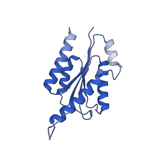 11631_7a4f_JA_v1-2
Aquifex aeolicus lumazine synthase-derived nucleocapsid variant NC-1 (120-mer)