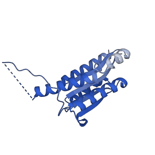 11631_7a4f_JB_v1-2
Aquifex aeolicus lumazine synthase-derived nucleocapsid variant NC-1 (120-mer)