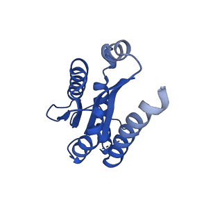 11631_7a4f_JD_v1-2
Aquifex aeolicus lumazine synthase-derived nucleocapsid variant NC-1 (120-mer)