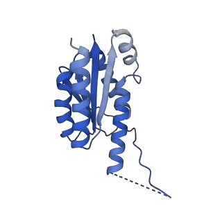 11631_7a4f_JE_v1-2
Aquifex aeolicus lumazine synthase-derived nucleocapsid variant NC-1 (120-mer)