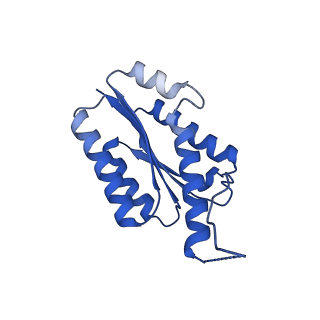11631_7a4f_JF_v1-2
Aquifex aeolicus lumazine synthase-derived nucleocapsid variant NC-1 (120-mer)