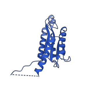 11631_7a4f_JG_v1-2
Aquifex aeolicus lumazine synthase-derived nucleocapsid variant NC-1 (120-mer)