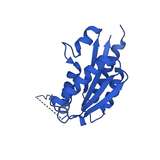 11631_7a4f_JH_v1-2
Aquifex aeolicus lumazine synthase-derived nucleocapsid variant NC-1 (120-mer)