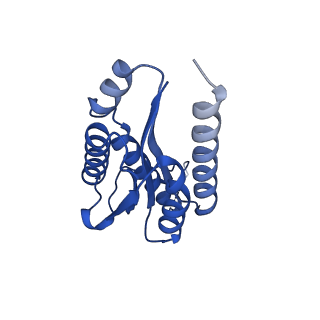 11631_7a4f_JI_v1-2
Aquifex aeolicus lumazine synthase-derived nucleocapsid variant NC-1 (120-mer)