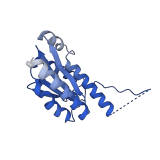 11631_7a4f_JJ_v1-2
Aquifex aeolicus lumazine synthase-derived nucleocapsid variant NC-1 (120-mer)