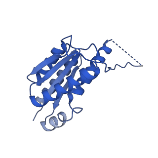 11631_7a4f_KA_v1-2
Aquifex aeolicus lumazine synthase-derived nucleocapsid variant NC-1 (120-mer)