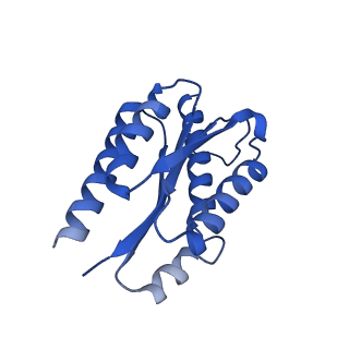 11631_7a4f_KB_v1-2
Aquifex aeolicus lumazine synthase-derived nucleocapsid variant NC-1 (120-mer)