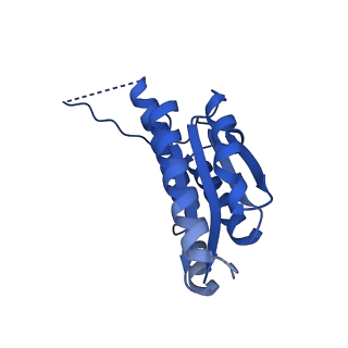 11631_7a4f_KC_v1-2
Aquifex aeolicus lumazine synthase-derived nucleocapsid variant NC-1 (120-mer)