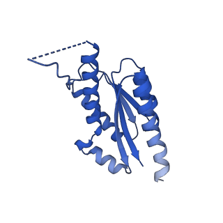 11631_7a4f_KD_v1-2
Aquifex aeolicus lumazine synthase-derived nucleocapsid variant NC-1 (120-mer)