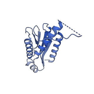 11631_7a4f_KE_v1-2
Aquifex aeolicus lumazine synthase-derived nucleocapsid variant NC-1 (120-mer)