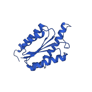 11631_7a4f_KG_v1-2
Aquifex aeolicus lumazine synthase-derived nucleocapsid variant NC-1 (120-mer)