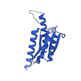 11631_7a4f_KH_v1-2
Aquifex aeolicus lumazine synthase-derived nucleocapsid variant NC-1 (120-mer)