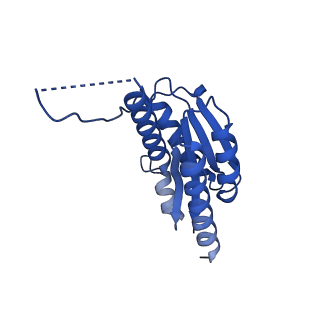 11631_7a4f_KI_v1-2
Aquifex aeolicus lumazine synthase-derived nucleocapsid variant NC-1 (120-mer)