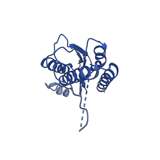 11631_7a4f_KJ_v1-2
Aquifex aeolicus lumazine synthase-derived nucleocapsid variant NC-1 (120-mer)