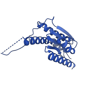 11631_7a4f_LA_v1-2
Aquifex aeolicus lumazine synthase-derived nucleocapsid variant NC-1 (120-mer)