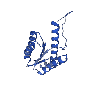 11631_7a4f_LD_v1-2
Aquifex aeolicus lumazine synthase-derived nucleocapsid variant NC-1 (120-mer)