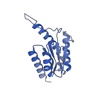 11631_7a4f_LE_v1-2
Aquifex aeolicus lumazine synthase-derived nucleocapsid variant NC-1 (120-mer)