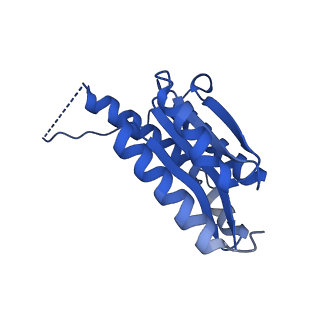 11631_7a4f_LF_v1-2
Aquifex aeolicus lumazine synthase-derived nucleocapsid variant NC-1 (120-mer)