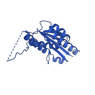 11631_7a4f_LG_v1-2
Aquifex aeolicus lumazine synthase-derived nucleocapsid variant NC-1 (120-mer)