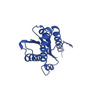 11631_7a4f_LH_v1-2
Aquifex aeolicus lumazine synthase-derived nucleocapsid variant NC-1 (120-mer)