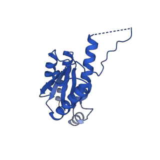 11631_7a4f_LI_v1-2
Aquifex aeolicus lumazine synthase-derived nucleocapsid variant NC-1 (120-mer)